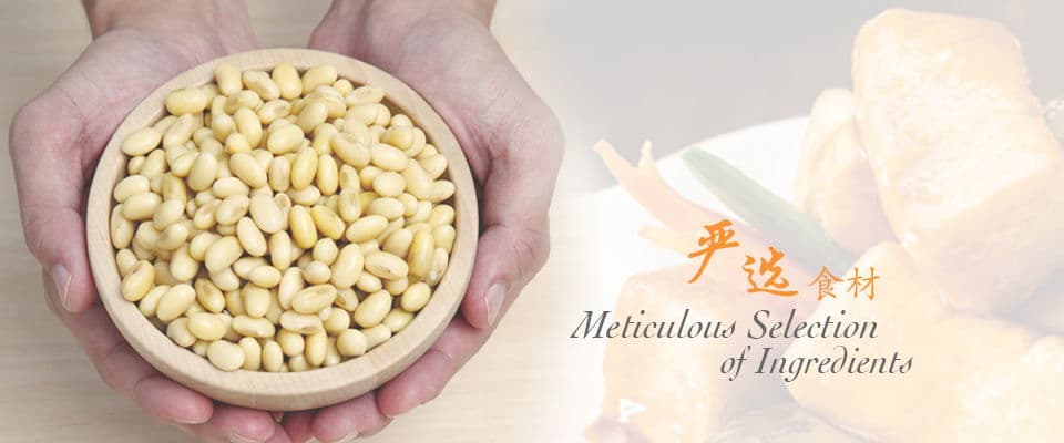 Pu Tien Malaysia (Landing Page)